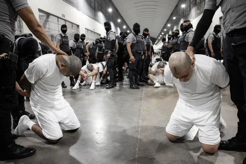 Immigrants alleged to be gang members rendered by the Trump administration into a Salvadoran prison were denied due process and included numerous cases of innocent people with no gang ties.