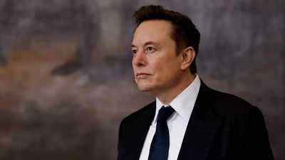 Elon Musk, born in South Africa and now a naturalized US citizen, leads Tesla, SpaceX, and the Department of Government Efficiency