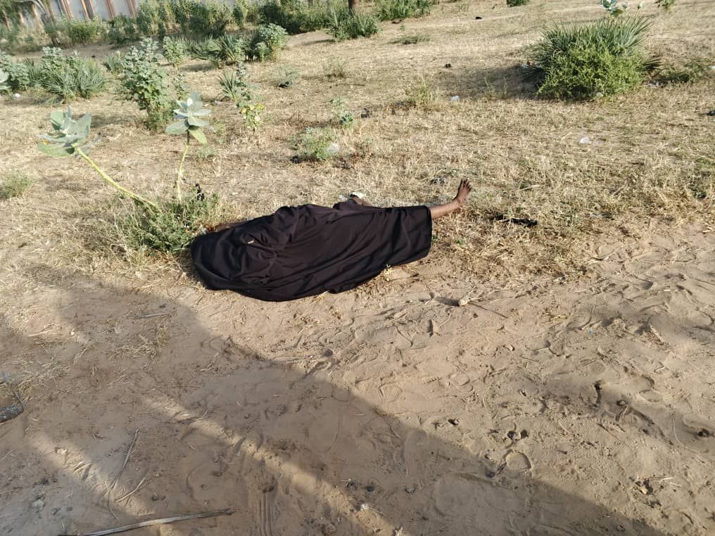 Police arrest APC secretary in connection with d3ath of 45-year-old woman in&nbsp;Yobe
