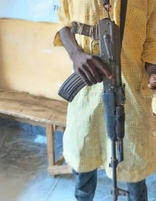 Adamawa police arrest man wielding AK-47&nbsp;rifle.