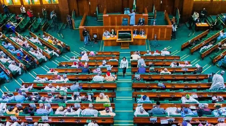 Reps to probe NFF over alleged mismanagement of $25m FIFA, CAF&nbsp;grants