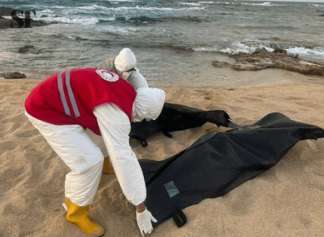 The International Organisation for Migration says two Nigerians were rescued, while two others d!ed after a vessel carrying 49 people capsized in the Mediterranean&nbsp;Sea.