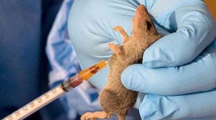 Two people have d!ed from Lassa fever in Benue State, barely a week after seven cases of the viral disease were reported, as the total number of suspected infections in the state rose to&nbsp;nine