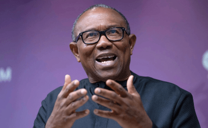 The 2023 presidential candidate of the Labour Party and former governor of Anambra State, Peter Obi, has called on the Federal Government to immediately halt the enforcement of the controversial new tax&nbsp;law