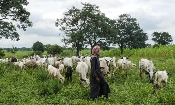 LG Chairman orders herders out of Agatu community of Benue state and also revokes grazing deal over&nbsp;k!llings