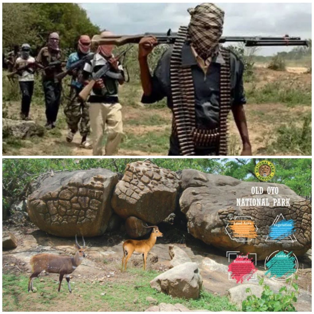 Five persons are feared de@d after suspected bandits attacked personnel of the National Park Service (NPS) in Oloka, Orire Local Government Area (LGA), Oyo State on Tuesday night, Jauary&nbsp;6.