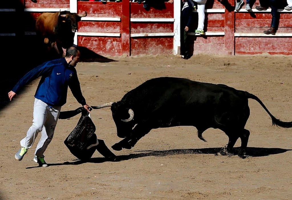 A 71-year-old man has sadly di£d in&nbsp;Spain&nbsp;after being gored by a bull during a bullfighting&nbsp;festival
