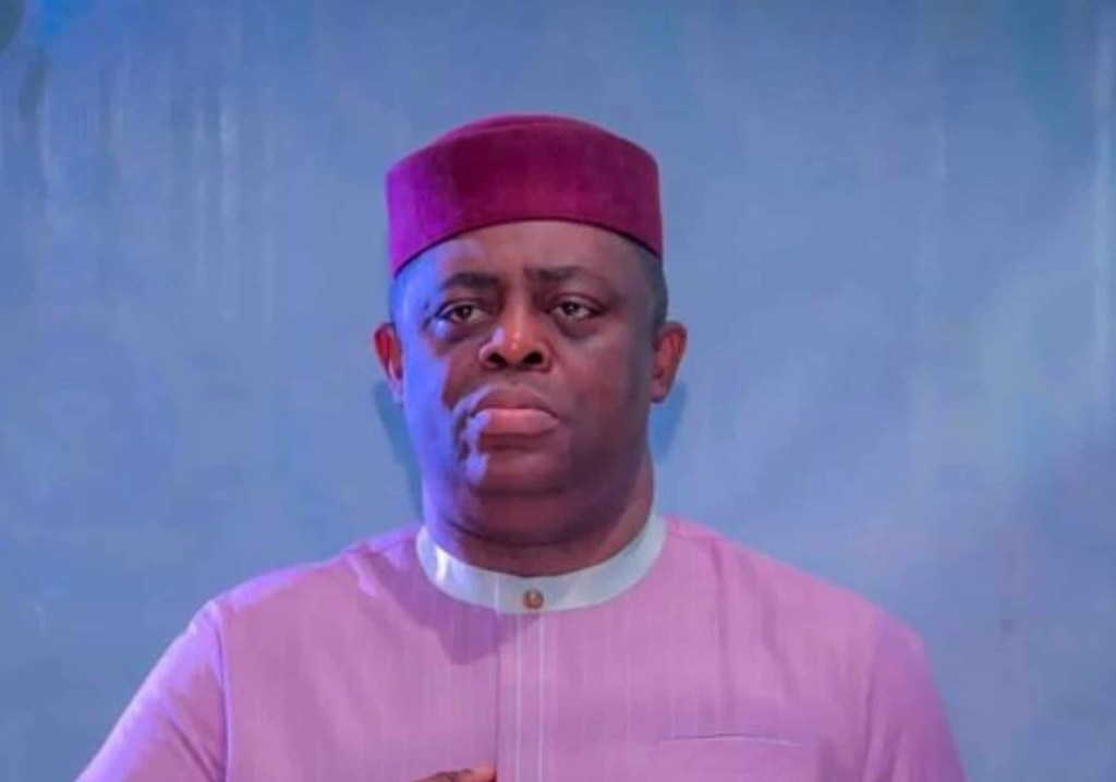 Fani-Kayode reassigned as South Africa ambassador-designate after Germany&nbsp;posting