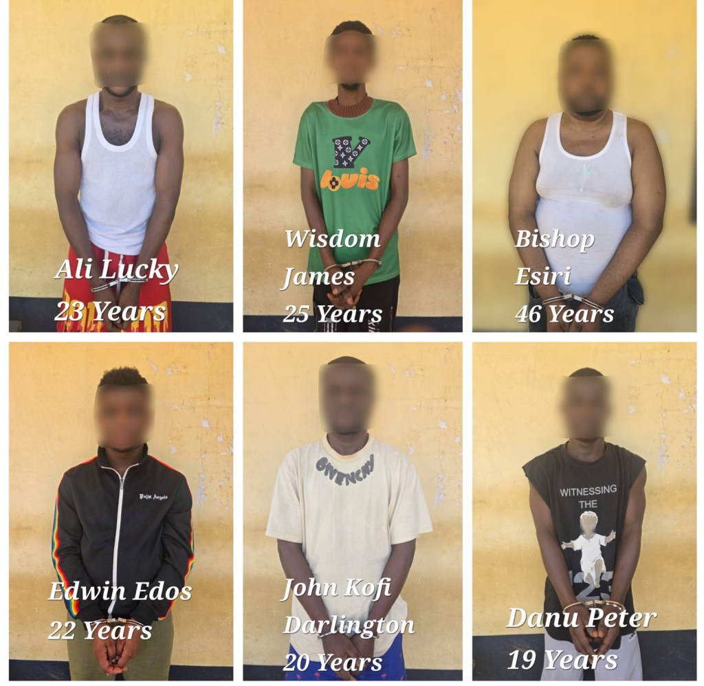 Five Nigerians and six Ghanaians arrested for allegedly using deepfake AI-generated video to impersonate President&nbsp;Mahama