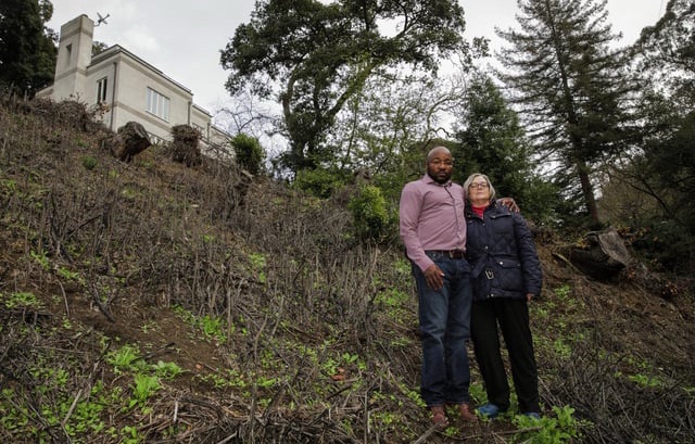 Nigerian doctor and wife fined $1M for cutting down 38 protected&nbsp;trees.