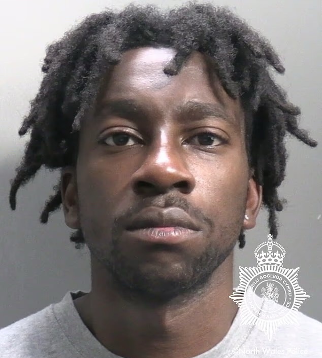 Nigerian migrant jailed for 17 years for r@ping young woman in&nbsp;UK