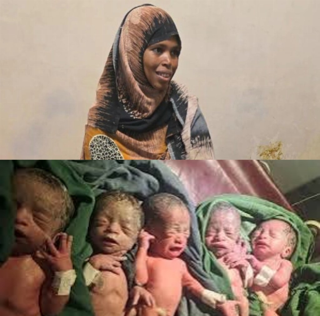Woman births quintuplets after 12 years of trying for a&nbsp;child.