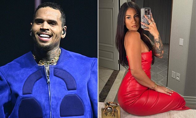 Chris Brown’s ex-girlfriend Diamond Brown ‘seeks physical custody of their&nbsp;daughter