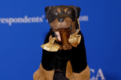 Triumph the Insult Comic Dog showed up at the White House Correspondents’ Dinner and delivered a full roast segment that went&nbsp;viral.