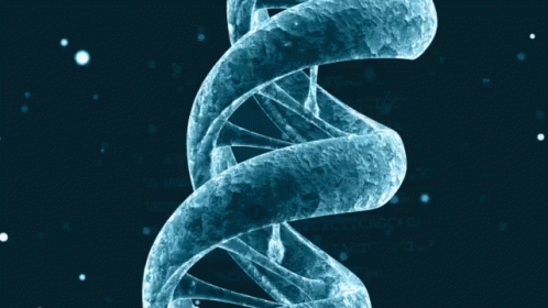 Man awarded $2,500 refund after DNA test revealed he’s not father of child he’s&nbsp;supporting